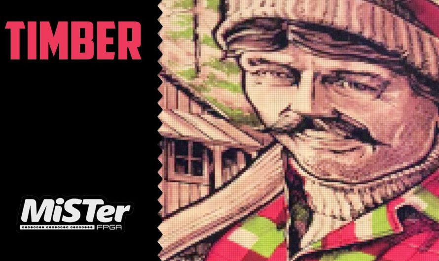 Bois / MiSTer FPGA / Arcade